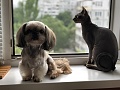 Нажмите на изображение для увеличения
Название: 91A4F8EF-EC2E-454B-A763-B648850D2E28.jpg
Просмотров: 96
Размер:	270.0 Кб
ID:	2963214