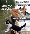 Нажмите на изображение для увеличения
Название: 317227E0-8064-40A1-ADB2-DF986A1D82BB.jpeg
Просмотров: 528
Размер:	182.8 Кб
ID:	2963599