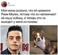 Нажмите на изображение для увеличения
Название: 841F8451-060E-4AA9-93CB-0F1B7057ADFE.jpeg
Просмотров: 514
Размер:	126.1 Кб
ID:	2963605