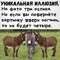 Нажмите на изображение для увеличения
Название: 12.jpg
Просмотров: 444
Размер:	141.2 Кб
ID:	2966759