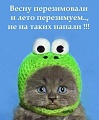 Нажмите на изображение для увеличения
Название: 2E94F365-E30E-4127-AD54-D8F688B99369.jpeg
Просмотров: 475
Размер:	57.6 Кб
ID:	2969866