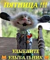 Нажмите на изображение для увеличения
Название: A4596FD7-8BB4-4384-A3BF-29970CC5CCEF.jpeg
Просмотров: 448
Размер:	57.4 Кб
ID:	2970821