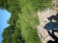 Нажмите на изображение для увеличения
Название: DSCN0342.jpg
Просмотров: 71
Размер:	770.1 Кб
ID:	2983657