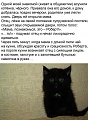 Нажмите на изображение для увеличения
Название: D2D67C37-B26B-4E9C-8BC6-7F59DF6BBE59.jpeg
Просмотров: 533
Размер:	123.8 Кб
ID:	2984030
