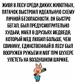 Нажмите на изображение для увеличения
Название: 1.jpg
Просмотров: 534
Размер:	109.2 Кб
ID:	2993378