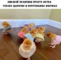 Нажмите на изображение для увеличения
Название: 77EC96A5-C129-4058-B7D8-79BB46698606.jpeg
Просмотров: 577
Размер:	71.9 Кб
ID:	2994023