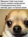 Нажмите на изображение для увеличения
Название: 3D4A8959-E484-41B9-BE70-F3EBEDD95F65.jpeg
Просмотров: 464
Размер:	98.9 Кб
ID:	2997114