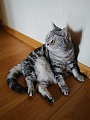 Нажмите на изображение для увеличения
Название: PSX_20200711_082903.jpg
Просмотров: 104
Размер:	605.5 Кб
ID:	2997299