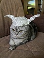 Нажмите на изображение для увеличения
Название: PSX_20200711_084908.jpg
Просмотров: 116
Размер:	635.3 Кб
ID:	2997300