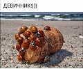 Нажмите на изображение для увеличения
Название: 47ed20dc16f2.jpg
Просмотров: 532
Размер:	109.3 Кб
ID:	2997502