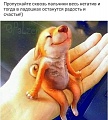 Нажмите на изображение для увеличения
Название: 75FB75D7-458D-44F4-8407-506669FC9AFF.jpeg
Просмотров: 572
Размер:	35.6 Кб
ID:	2998417