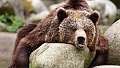 Нажмите на изображение для увеличения
Название: 333.jpg
Просмотров: 61
Размер:	386.1 Кб
ID:	3000725