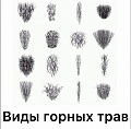 Нажмите на изображение для увеличения
Название: 92F197EA-0E7C-4848-A9A7-87D598B01016.jpeg
Просмотров: 583
Размер:	64.4 Кб
ID:	3002772