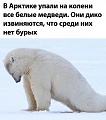 Нажмите на изображение для увеличения
Название: 1.jpg
Просмотров: 497
Размер:	70.9 Кб
ID:	3006462