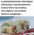 Нажмите на изображение для увеличения
Название: 54069B95-28B1-4D45-81B3-6366169AE69D.jpeg
Просмотров: 650
Размер:	59.5 Кб
ID:	3008720