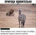 Нажмите на изображение для увеличения
Название: 70062622-D6C1-47CC-B183-BD42AF6CF14D.jpeg
Просмотров: 529
Размер:	130.7 Кб
ID:	3011531