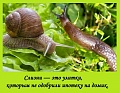 Нажмите на изображение для увеличения
Название: 4409F842-C380-4370-BD73-D4379C86C5D2.jpeg
Просмотров: 543
Размер:	94.4 Кб
ID:	3014914