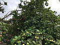 Нажмите на изображение для увеличения
Название: IMG_7135.jpg
Просмотров: 156
Размер:	569.0 Кб
ID:	3018026