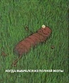 Нажмите на изображение для увеличения
Название: 7B1F73AC-60B3-45E4-B962-ABFFD09A5B04.jpeg
Просмотров: 545
Размер:	77.5 Кб
ID:	3025548