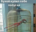 Нажмите на изображение для увеличения
Название: 5264A0EF-752F-4916-BA3E-4E7888C7A0C8.jpeg
Просмотров: 562
Размер:	111.4 Кб
ID:	3028365