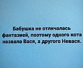Нажмите на изображение для увеличения
Название: 52661F77-5571-4ED6-AC6C-2F962D7B7AA9.jpeg
Просмотров: 467
Размер:	77.4 Кб
ID:	3031684