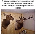 Нажмите на изображение для увеличения
Название: 921AC849-24D5-48DB-8C5A-A9C045BD50B0.jpeg
Просмотров: 491
Размер:	98.6 Кб
ID:	3037084