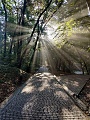 Нажмите на изображение для увеличения
Название: IMG_20200902_082335.jpg
Просмотров: 61
Размер:	934.2 Кб
ID:	3037546