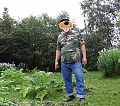 Нажмите на изображение для увеличения
Название: Dmitrov Cherry Orchard aug 2020 4.jpg
Просмотров: 142
Размер:	846.2 Кб
ID:	3042840