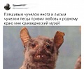 Нажмите на изображение для увеличения
Название: 2.jpg
Просмотров: 467
Размер:	54.5 Кб
ID:	3043508