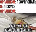 Нажмите на изображение для увеличения
Название: 1F0B42C5-CAC4-4BEF-A4DC-609EA88F4D0A.jpeg
Просмотров: 540
Размер:	102.0 Кб
ID:	3048465