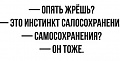 Нажмите на изображение для увеличения
Название: 56FA7F11-A8E6-4F08-B23A-122E7BA8386C.jpeg
Просмотров: 502
Размер:	27.5 Кб
ID:	3048472