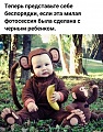 Нажмите на изображение для увеличения
Название: F447C0BF-F140-4E4D-BF21-DD82CFE99057.jpeg
Просмотров: 631
Размер:	172.1 Кб
ID:	3049106