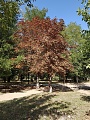 Нажмите на изображение для увеличения
Название: 3D060764-CD6A-4E61-92D5-CF8E4EE9E2A2.jpg
Просмотров: 128
Размер:	921.0 Кб
ID:	3049734