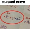 Нажмите на изображение для увеличения
Название: 119140127_1045420775876514_109391825058010287_n.jpg
Просмотров: 561
Размер:	30.7 Кб
ID:	3051438