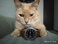 Нажмите на изображение для увеличения
Название: IMG_20200920_144631.jpg
Просмотров: 187
Размер:	368.1 Кб
ID:	3051804