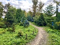 Нажмите на изображение для увеличения
Название: 39DB6C80-38B5-4A5F-8C5B-E2CE354C3303.jpg
Просмотров: 38
Размер:	896.0 Кб
ID:	3051818
