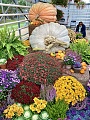 Нажмите на изображение для увеличения
Название: 45A3655B-76A1-4D70-B614-9BD55E408712.jpg
Просмотров: 56
Размер:	946.0 Кб
ID:	3051820