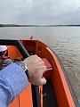 Нажмите на изображение для увеличения
Название: IMG_0995.jpg
Просмотров: 557
Размер:	254.5 Кб
ID:	3057348