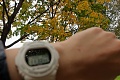 Нажмите на изображение для увеличения
Название: IMG_39940005.JPG
Просмотров: 37
Размер:	1.06 Мб
ID:	3057823
