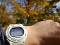 Нажмите на изображение для увеличения
Название: IMG_41480004.JPG
Просмотров: 331
Размер:	846.5 Кб
ID:	3067223
