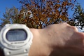 Нажмите на изображение для увеличения
Название: IMG_42180011.JPG
Просмотров: 52
Размер:	1.02 Мб
ID:	3070447