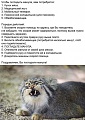 Нажмите на изображение для увеличения
Название: BFCAE346-7324-4BA5-8EEA-95057E0A47FB.jpeg
Просмотров: 500
Размер:	130.3 Кб
ID:	3072897