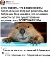Нажмите на изображение для увеличения
Название: 2A139C32-F5B8-4DEA-8387-DC944582B377.jpeg
Просмотров: 597
Размер:	111.2 Кб
ID:	3078980