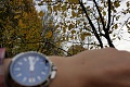 Нажмите на изображение для увеличения
Название: IMG_44030009.JPG
Просмотров: 124
Размер:	1.11 Мб
ID:	3083245
