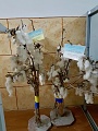 Нажмите на изображение для увеличения
Название: 760AB18A-600E-4237-BBC5-AAA0FF985B3A.jpg
Просмотров: 78
Размер:	404.6 Кб
ID:	3083636
