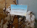 Нажмите на изображение для увеличения
Название: 87D49319-044A-4025-A8B9-240C4533B32B.jpg
Просмотров: 88
Размер:	336.3 Кб
ID:	3083637