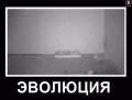 Нажмите на изображение для увеличения
Название: c9ae71ed9e5e.gif
Просмотров: 746
Размер:	2.30 Мб
ID:	3085651