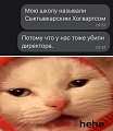 Нажмите на изображение для увеличения
Название: 1D8515DA-6B0F-413D-937F-CA8DF05191B2.jpeg
Просмотров: 489
Размер:	69.3 Кб
ID:	3089783