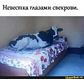 Нажмите на изображение для увеличения
Название: 86a6ffa811c105a8f5ec155b652c85809309e4151d4eecaef1bd3518e12f164e_1.jpg.jpg
Просмотров: 593
Размер:	49.6 Кб
ID:	3091963