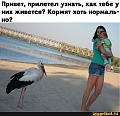 Нажмите на изображение для увеличения
Название: 0c63ca9b974434ff5b9bc9bd22d22eb7d757b3be6d0403739c2301394d4c7961_1.jpg.jpg
Просмотров: 466
Размер:	59.5 Кб
ID:	3092628